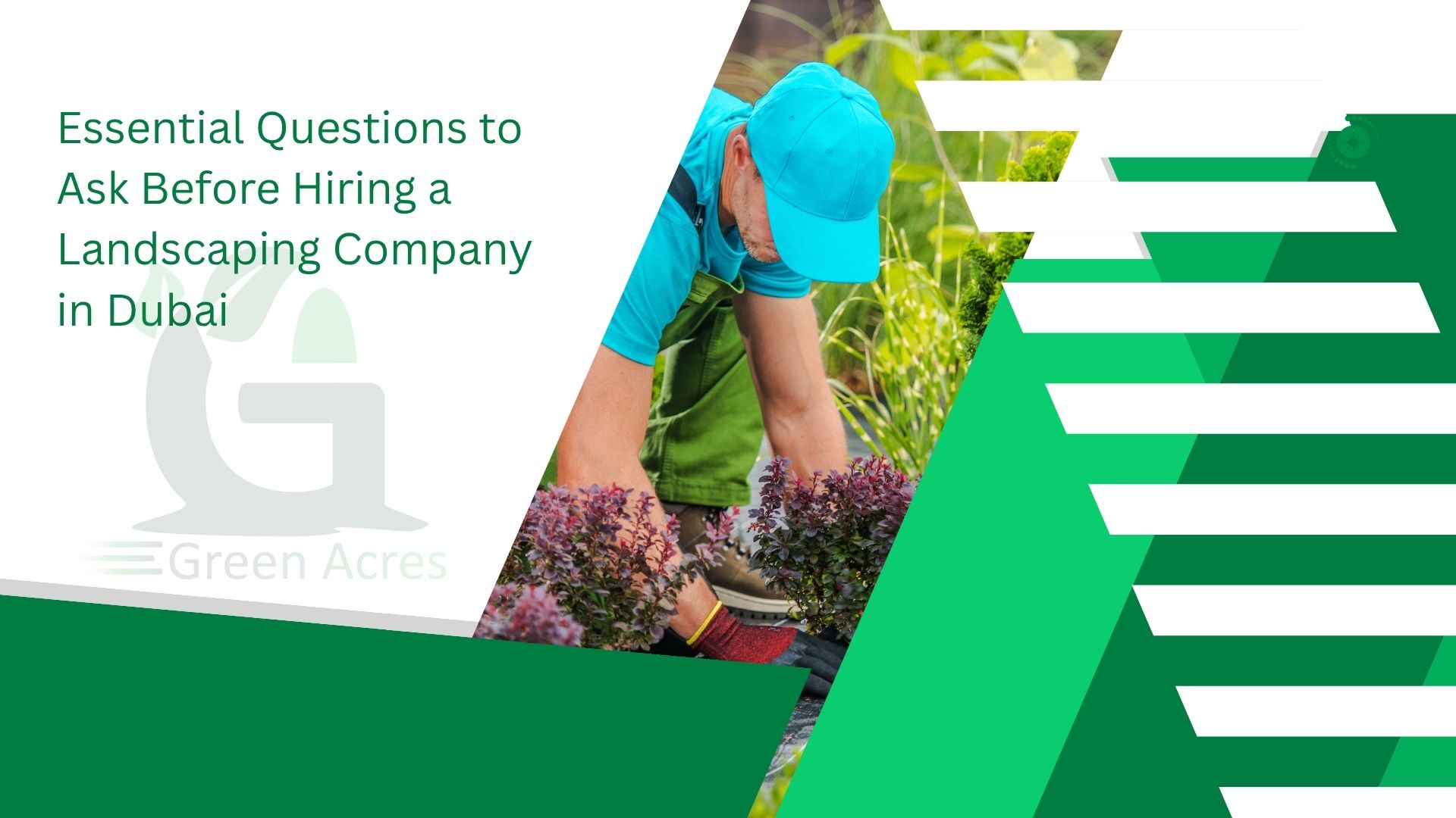 Essential Questions to Ask Before Hiring a Landscaping Company in Dubai ...